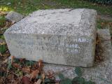 image of grave number 124823